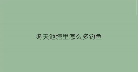 冬天池塘里怎么多钓鱼(冬天池塘钓鱼用什么饵料最好)