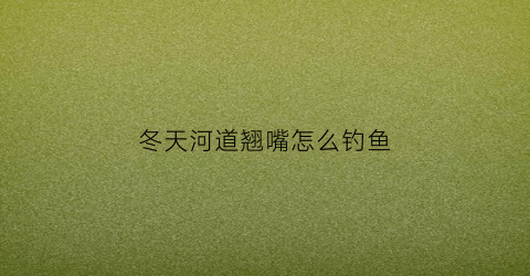 冬天河道翘嘴怎么钓鱼(冬天河里怎么钓翘嘴)