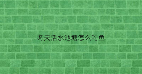 “冬天活水池塘怎么钓鱼(冬天活水池塘怎么钓鱼最好)