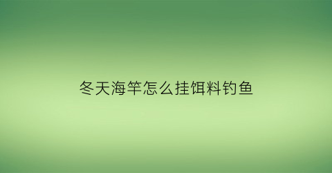 “冬天海竿怎么挂饵料钓鱼(冬天海杆钓鱼技巧)