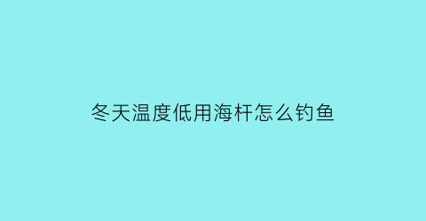 冬天温度低用海杆怎么钓鱼(冬天温度低用海杆怎么钓鱼好)