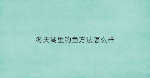 冬天湖里钓鱼方法怎么样(冬季湖里怎么钓鱼)