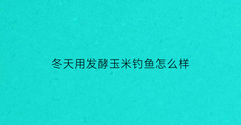 冬天用发酵玉米钓鱼怎么样