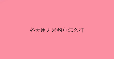 “冬天用大米钓鱼怎么样(冬天用大米钓鱼怎么样好钓)