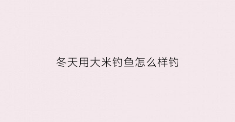 冬天用大米钓鱼怎么样钓