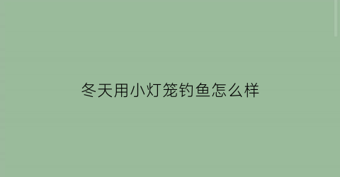 冬天用小灯笼钓鱼怎么样(冬季灯笼裙搭配什么上衣图片)