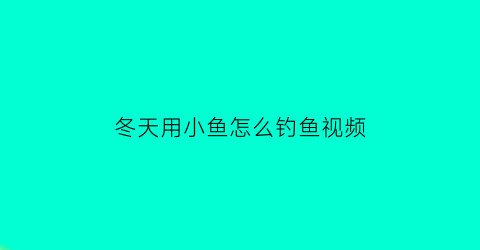 “冬天用小鱼怎么钓鱼视频(冬天钓小鱼怎么钓)