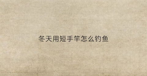 冬天用短手竿怎么钓鱼