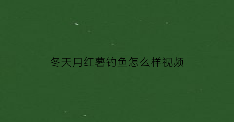 “冬天用红薯钓鱼怎么样视频(冬天用红薯钓鱼怎么样视频教学)