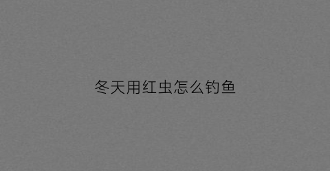 冬天用红虫怎么钓鱼(冬天红虫钓鱼技巧)