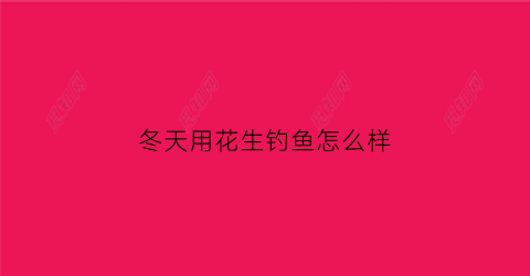 冬天用花生钓鱼怎么样(花生可以钓鱼吗怎么用)