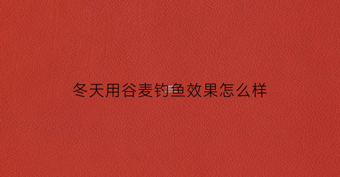 冬天用谷麦钓鱼效果怎么样(谷麦钓法冬天可以用吗)