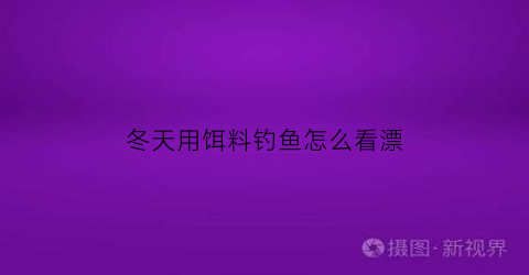 冬天用饵料钓鱼怎么看漂(冬天钓鱼怎样看漂)