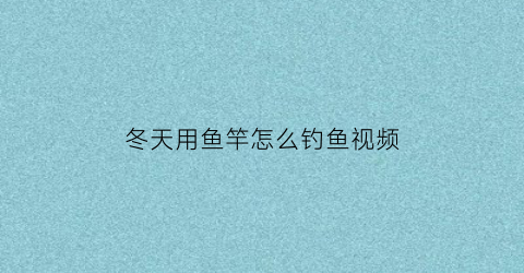 “冬天用鱼竿怎么钓鱼视频(冬天鱼竿怎么保养)