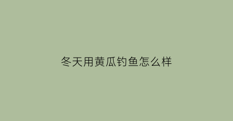 冬天用黄瓜钓鱼怎么样(冬天用黄瓜钓鱼怎么样好钓吗)