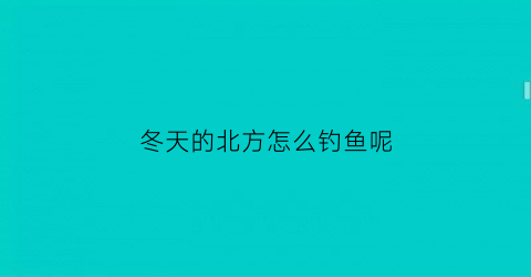 冬天的北方怎么钓鱼呢(冬季北方怎么钓鱼)
