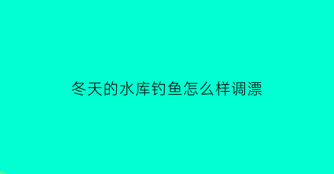 “冬天的水库钓鱼怎么样调漂(冬天水库怎么钓大鱼)