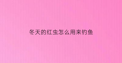 冬天的红虫怎么用来钓鱼(冬天用红虫钓鱼怎么调漂图)