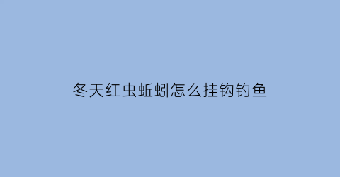 冬天红虫蚯蚓怎么挂钩钓鱼(冬天钓鱼红虫怎么挂钩好)