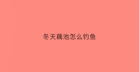 冬天藕池怎么钓鱼(夏季藕塘怎么钓鱼)