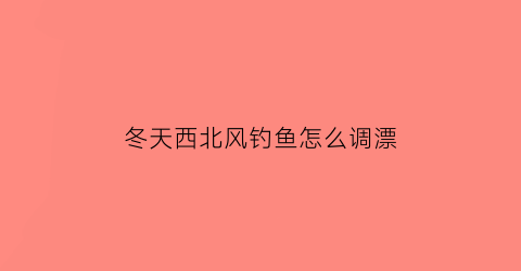 “冬天西北风钓鱼怎么调漂(初冬西北风钓鱼哪个位置好)