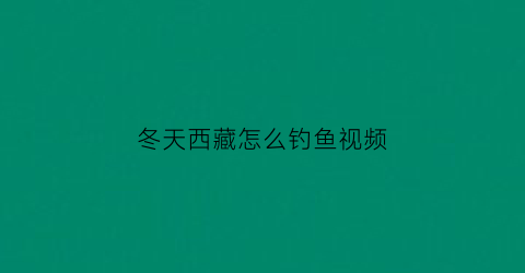 冬天西藏怎么钓鱼视频