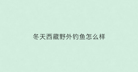 冬天西藏野外钓鱼怎么样(西藏野钓地方)