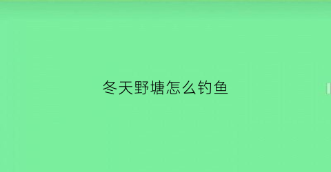 冬天野塘怎么钓鱼(冬天野塘怎么钓鱼好)
