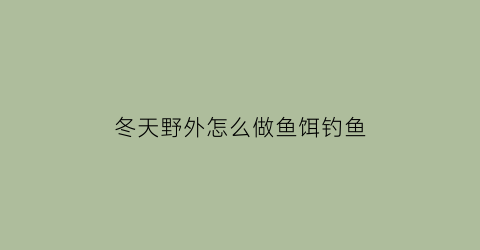 冬天野外怎么做鱼饵钓鱼(冬天野外怎么做鱼饵钓鱼视频)