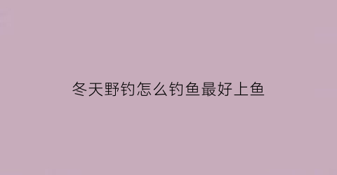 冬天野钓怎么钓鱼最好上鱼(冬天野钓怎么钓鱼最好上鱼视频)