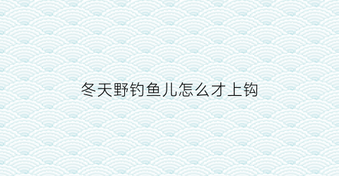 冬天野钓鱼儿怎么才上钩(冬天里怎么钓鱼)