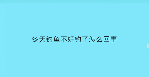 “冬天钓鱼不好钓了怎么回事(冬天钓鱼不好钓了怎么回事儿)