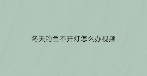 “冬天钓鱼不开灯怎么办视频(冬天钓不了鱼)