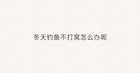 冬天钓鱼不打窝怎么办呢(冬季野钓不打窝)