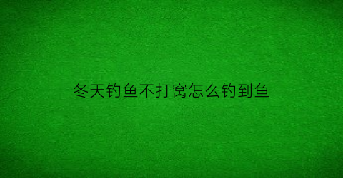 冬天钓鱼不打窝怎么钓到鱼