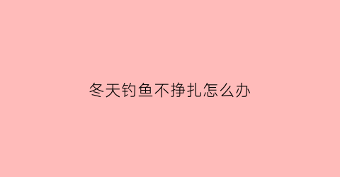 冬天钓鱼不挣扎怎么办