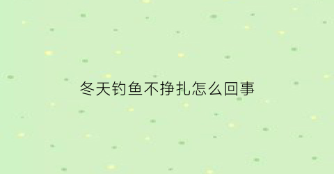 冬天钓鱼不挣扎怎么回事(冬天钓得到鱼不)