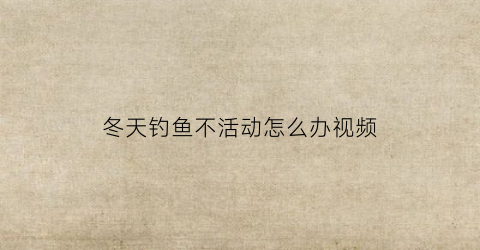 冬天钓鱼不活动怎么办视频(冬天不好钓鱼)