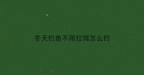 “冬天钓鱼不用拉饵怎么钓(冬天钓鱼不打窝可以吗)