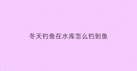 “冬天钓鱼在水库怎么钓到鱼(冬天水库野钓)