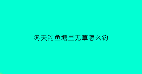 冬天钓鱼塘里无草怎么钓(没草的水库冬天怎么钓鲫鱼)