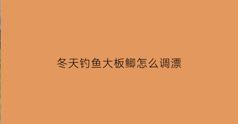冬天钓鱼大板鲫怎么调漂(冬季野钓大板鲫)