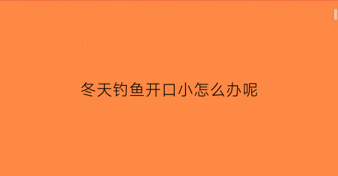 冬天钓鱼开口小怎么办呢