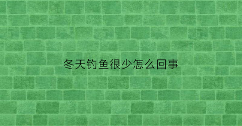 “冬天钓鱼很少怎么回事(冬天钓鱼怎么钓不到)