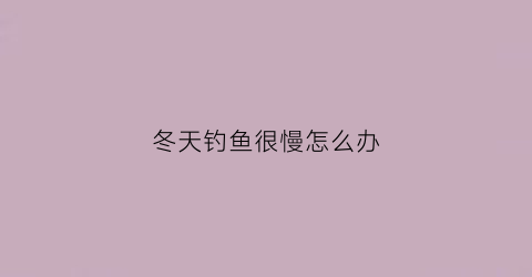 冬天钓鱼很慢怎么办(冬天钓鱼很慢怎么办呢)