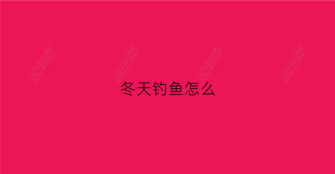 冬天钓鱼怎么(冬天钓鱼怎么找到鱼窝)