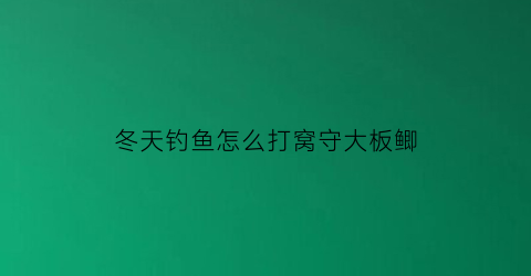 冬天钓鱼怎么打窝守大板鲫(冬天钓鱼怎么打窝子)