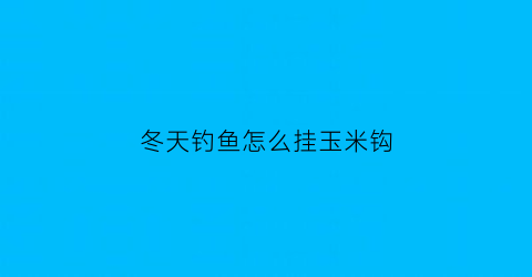 “冬天钓鱼怎么挂玉米钩(冬天挂玉米粒还能不能钓鱼)