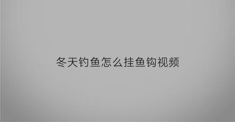 冬天钓鱼怎么挂鱼钩视频(冬天如何钩鱼)