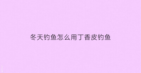 冬天钓鱼怎么用丁香皮钓鱼(冬天钓鱼用丁香和山奈吗)